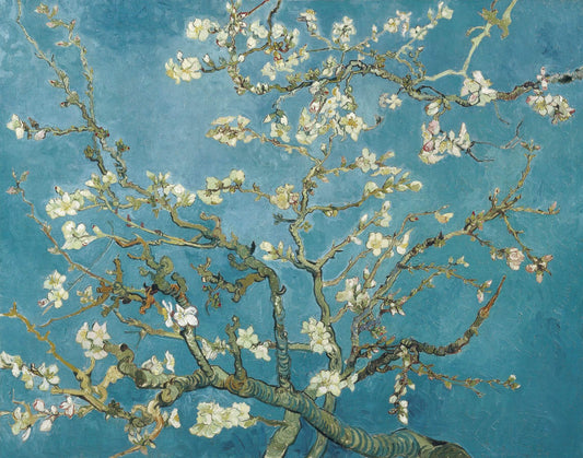 Almond Blossoms Mural Wallpaper (SqM)