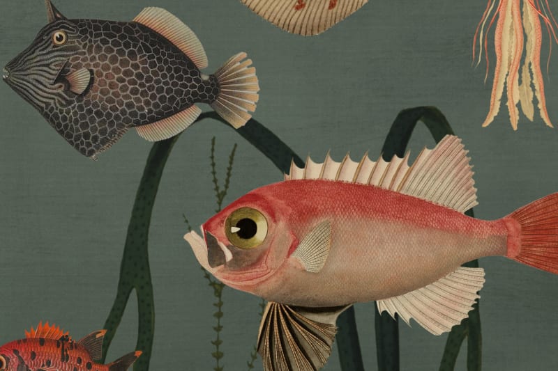 Oxygen Underwater World Mural Wallpaper (SqM)