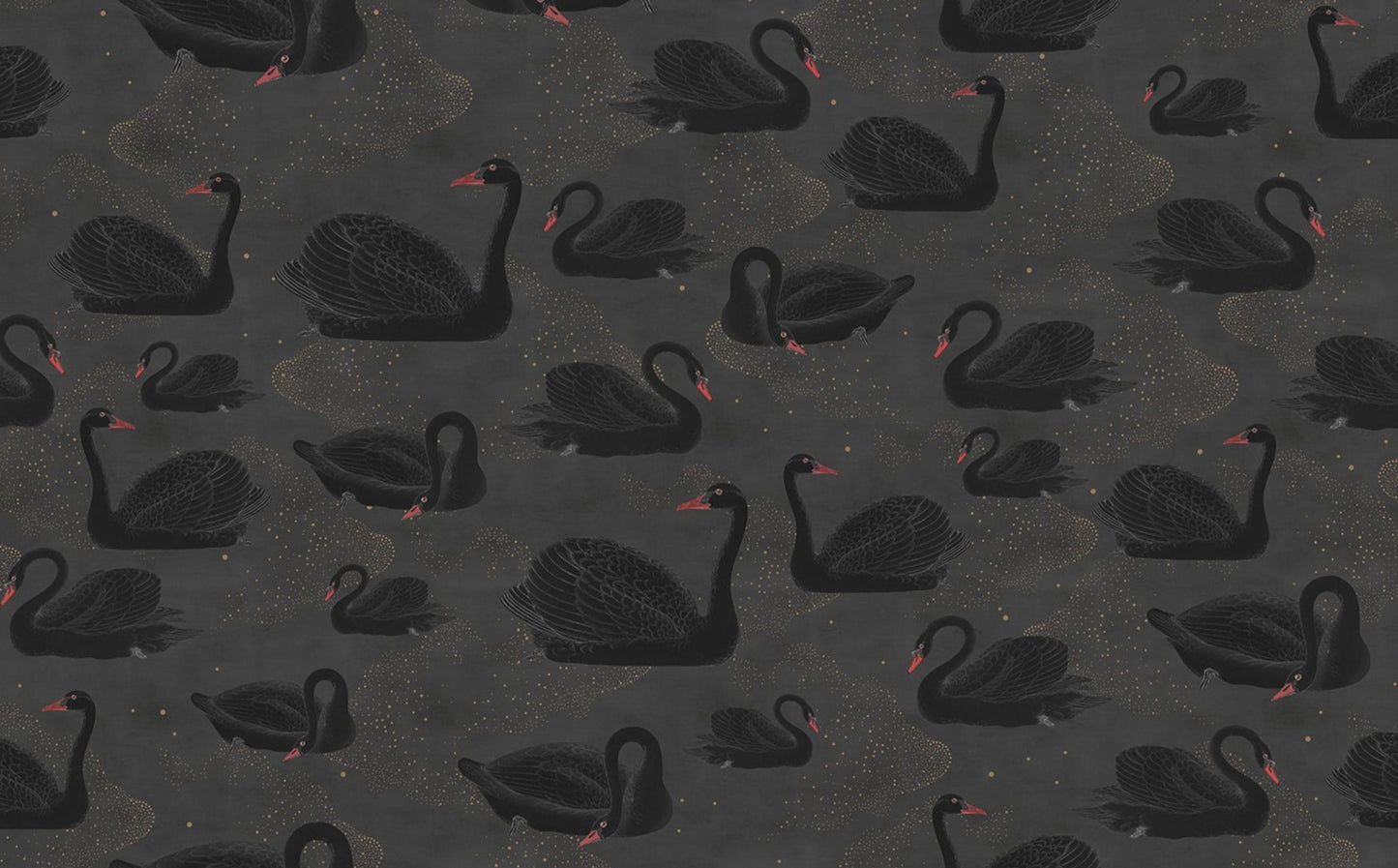 Black Swan Mural Wallpaper (SqM)