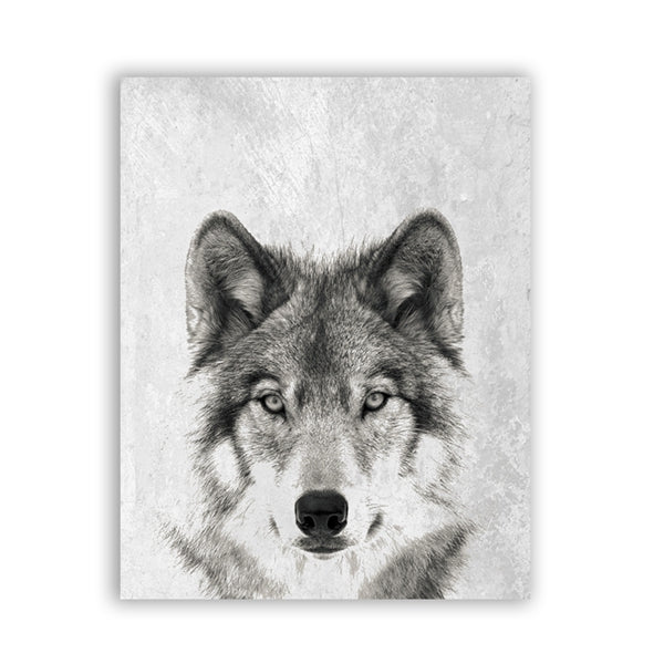 Wolf. B&W Photo