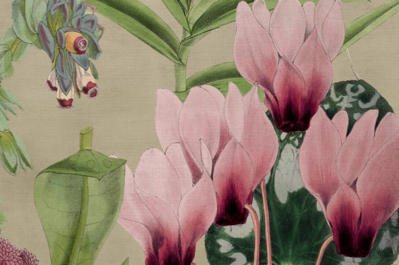 Alice's Pink Botanicals Mural Wallpaper (SqM)