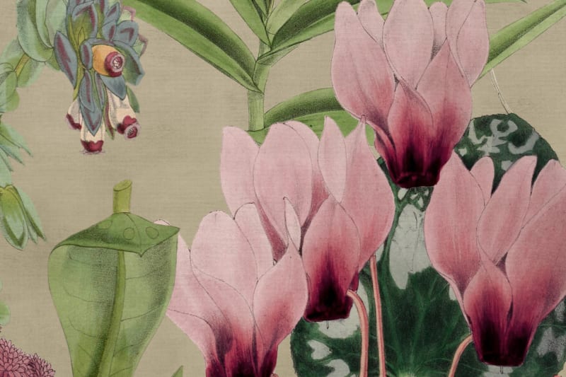 Alice's Pink Botanicals Mural - Wallpaper Sample