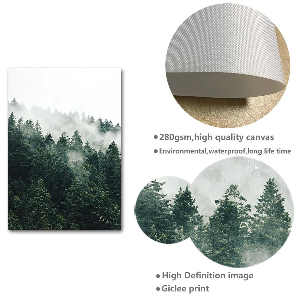 Scandinavian Forest Scenery Canvas Print