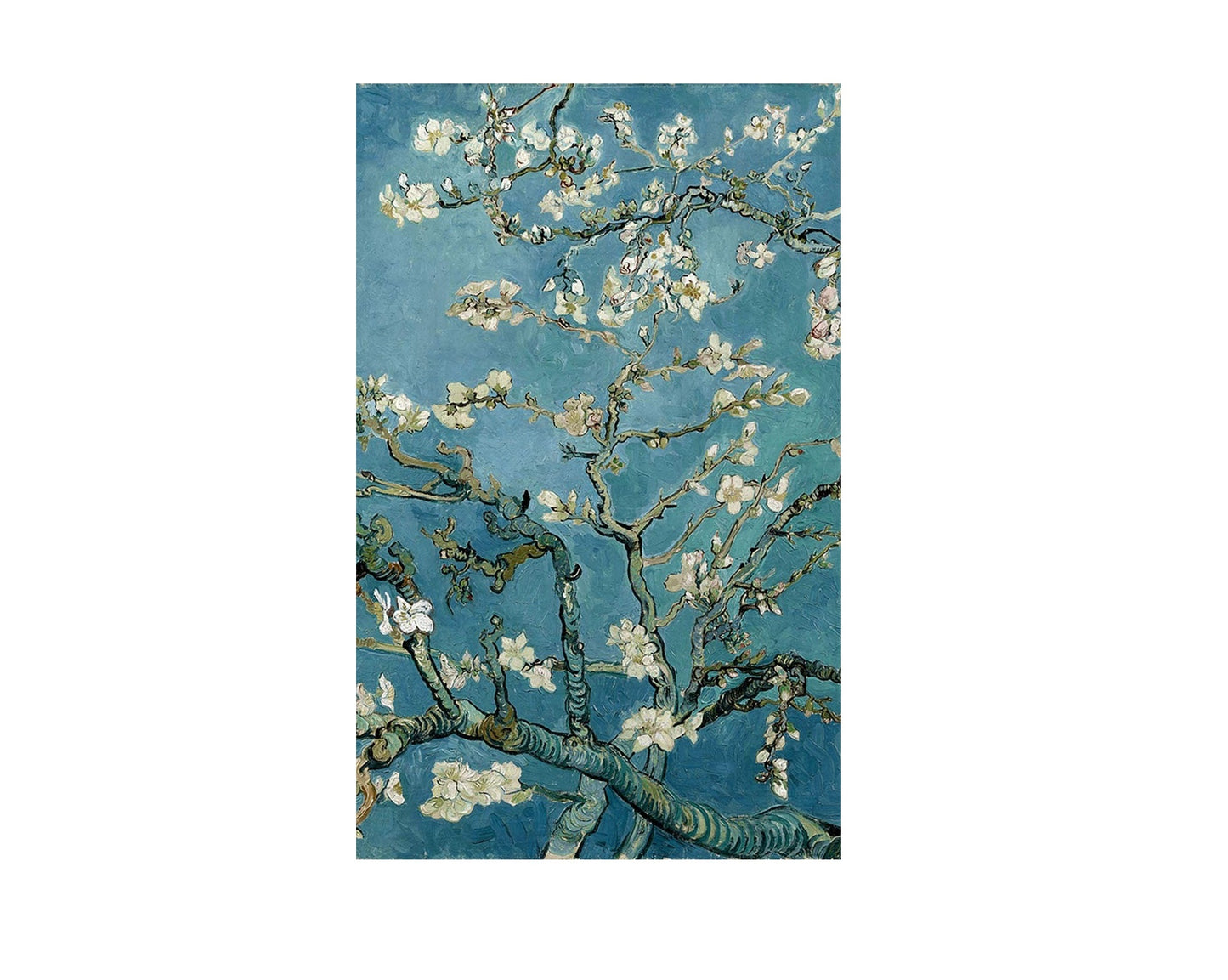 Almond Blossoms Mural Wallpaper (SqM)