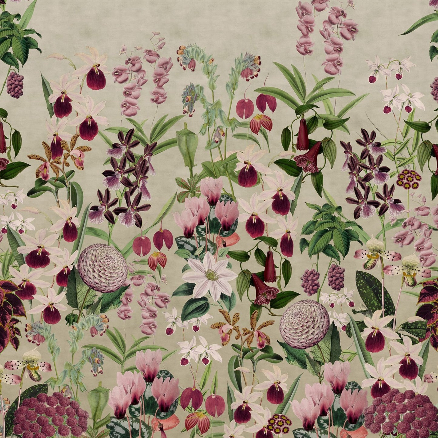 Alice's Pink Botanicals Mural - Wallpaper Sample
