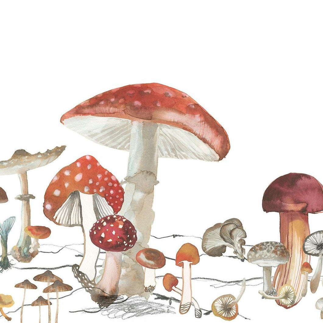 Mushroom Wonder Mural Wallpaper (SqM)