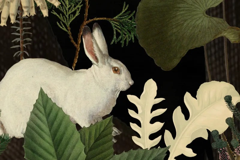 Rabbit Hole Moss Mural Wallpaper (SqM)