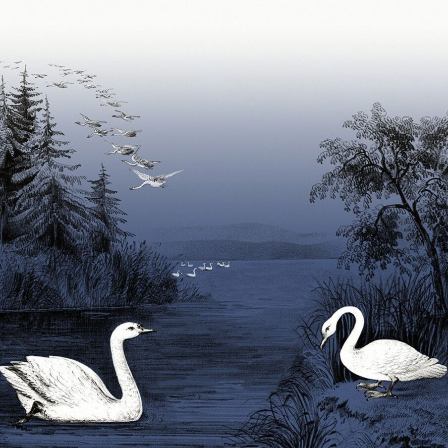 Swan Lake Midnight Blue Mural Wallpaper (SqM)