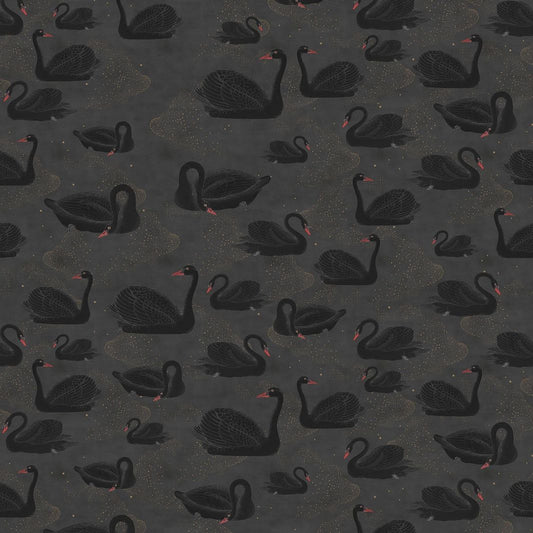 Black Swan Mural Wallpaper (SqM)