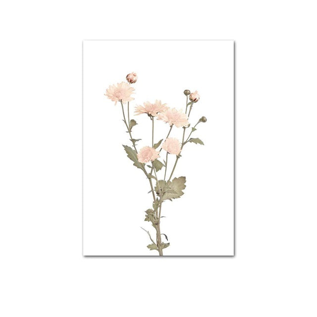 Anemone Nordic Wild Flowers Canvas Print