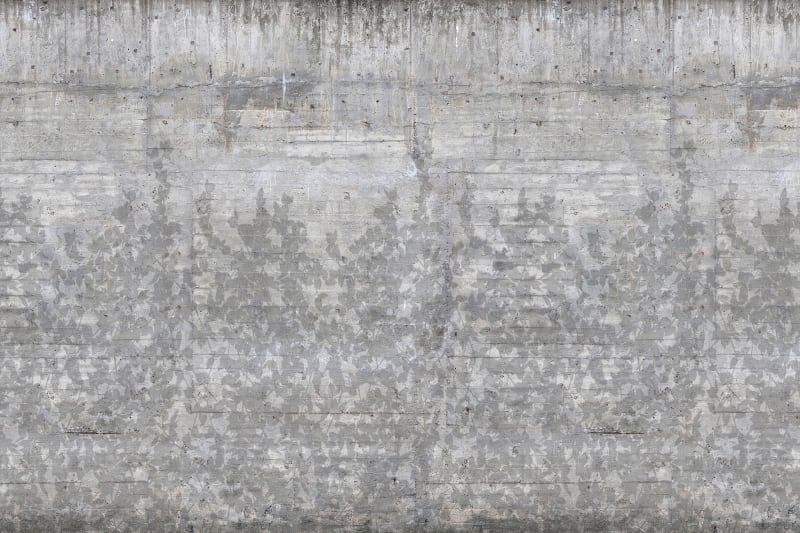 Climbing Clorofyl Shadow Grey Mural Wallpaper (SqM)
