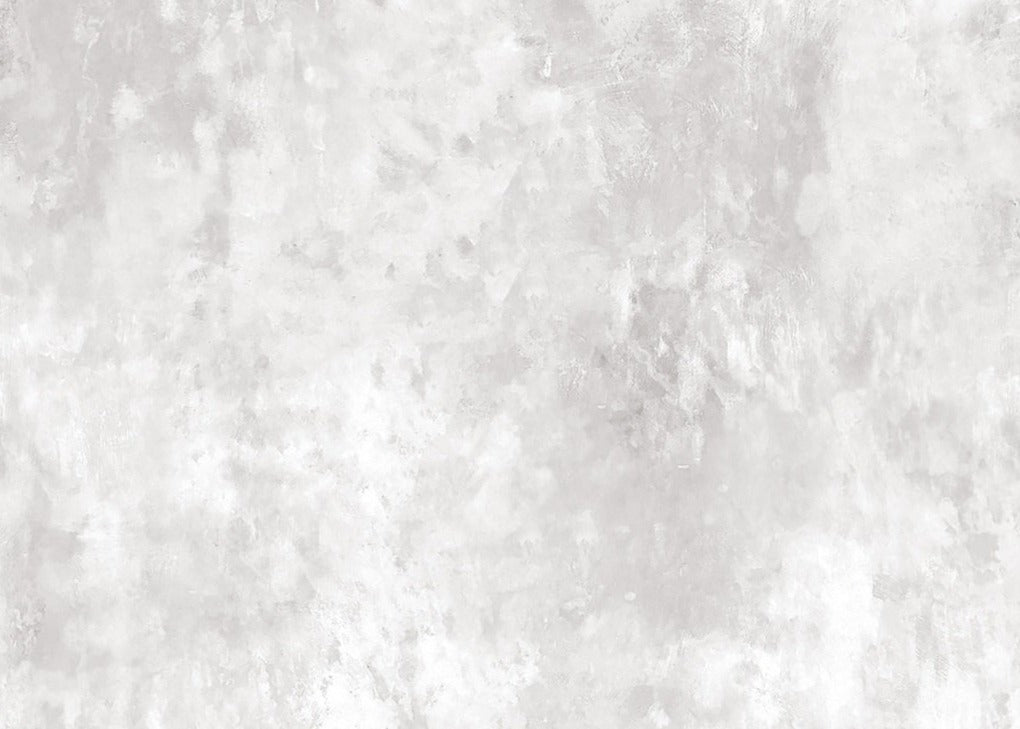 Fresco Wall Grey Mural Wallpaper (SqM)