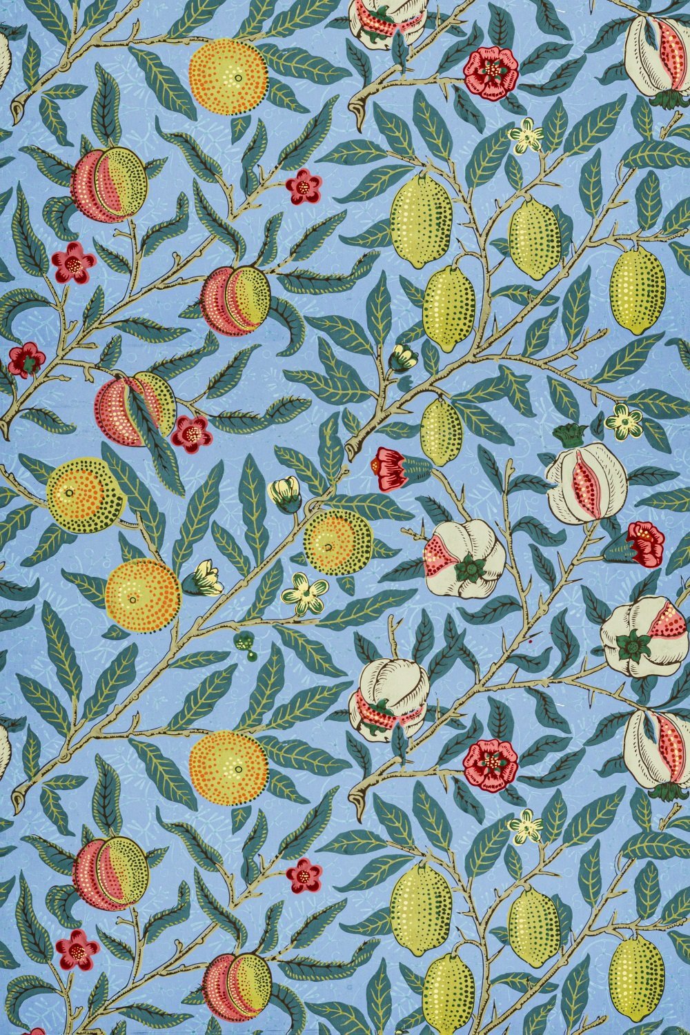 Pomegranate Four Fruits Mural Wallpaper (SqM)