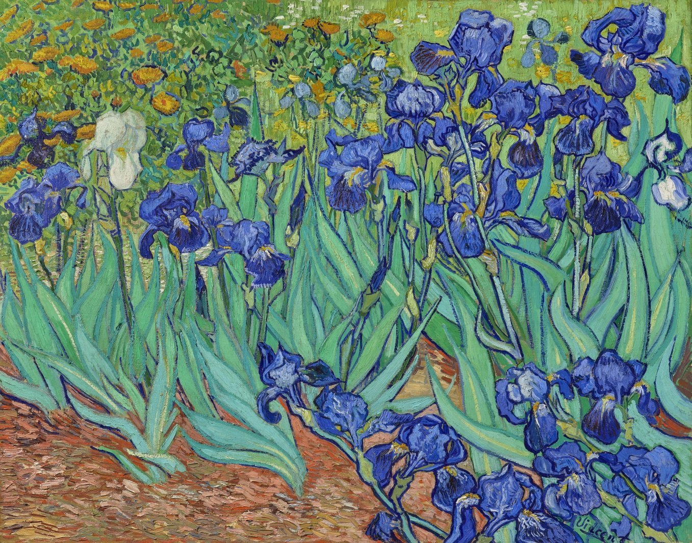 Irises By Van Gogh Mural Wallpaper (SqM)