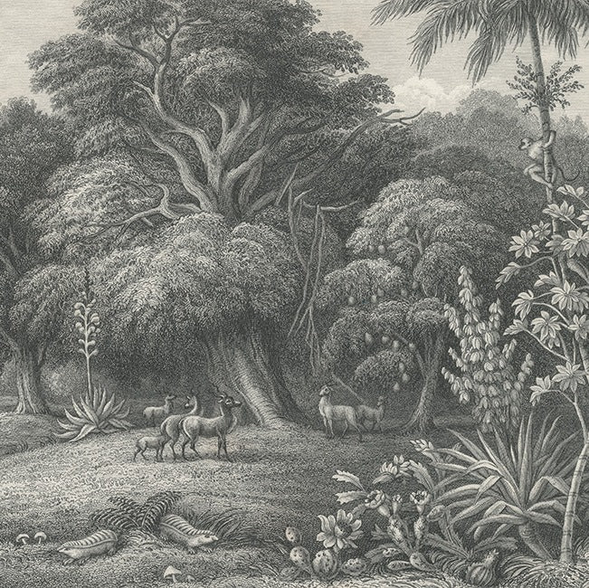 Jungle Land Vintage Wallpaper (SqM)