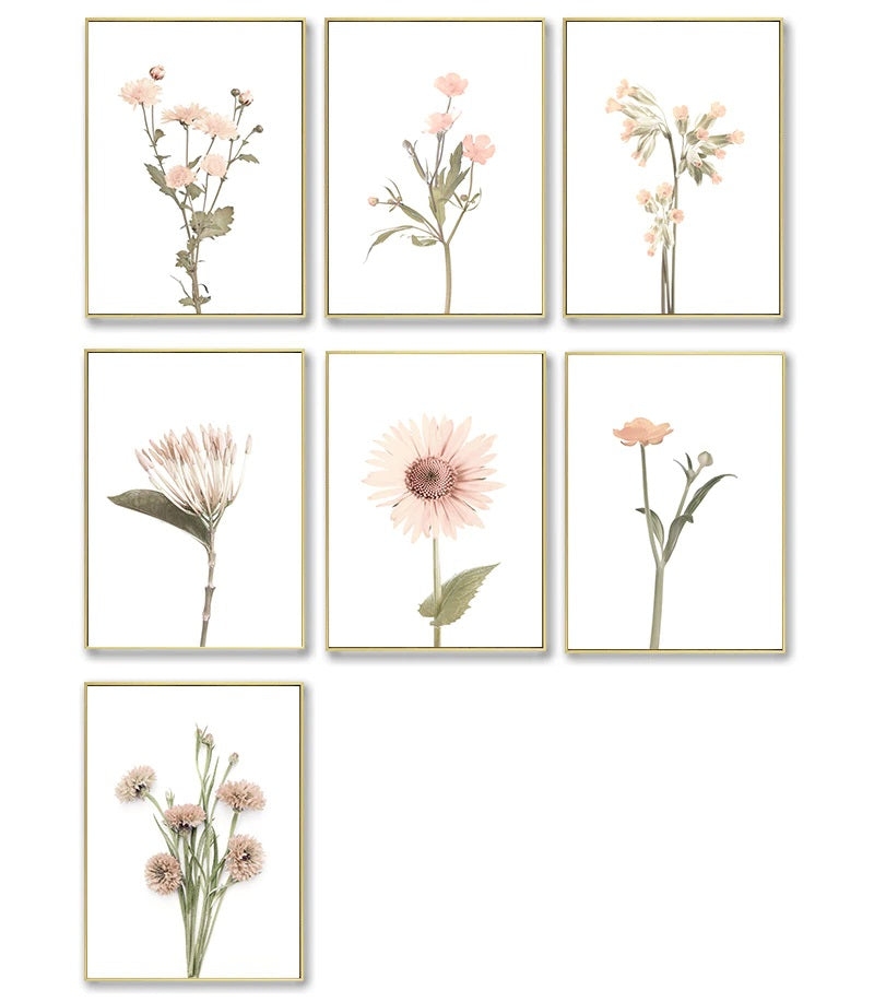 Protea Nordic Wild Flowers Canvas Print