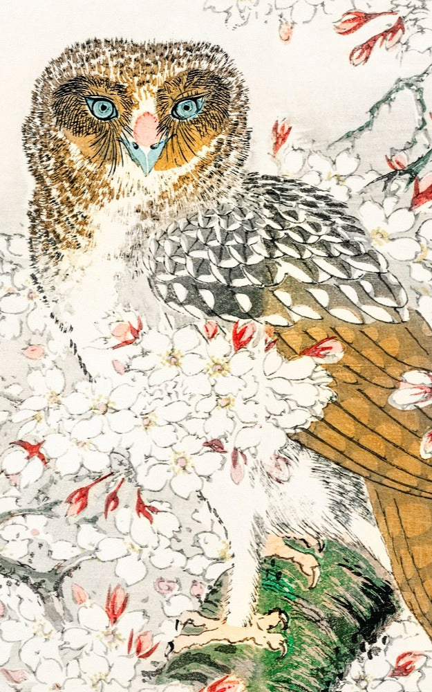 The Owl Mural Wallpaper (SqM)
