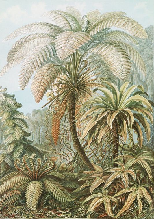 Paradise Lost Vintage Jungle Mural Wallpaper (SqM)