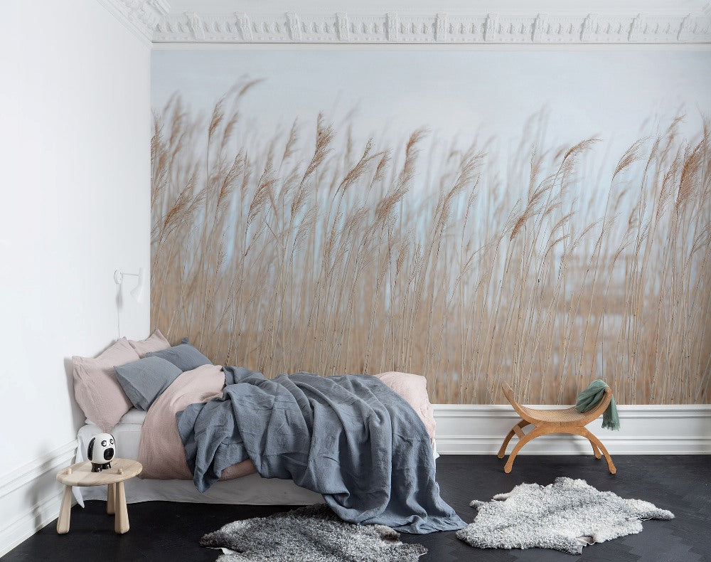 Swaying Reed Mural Wallpaper (SqM)