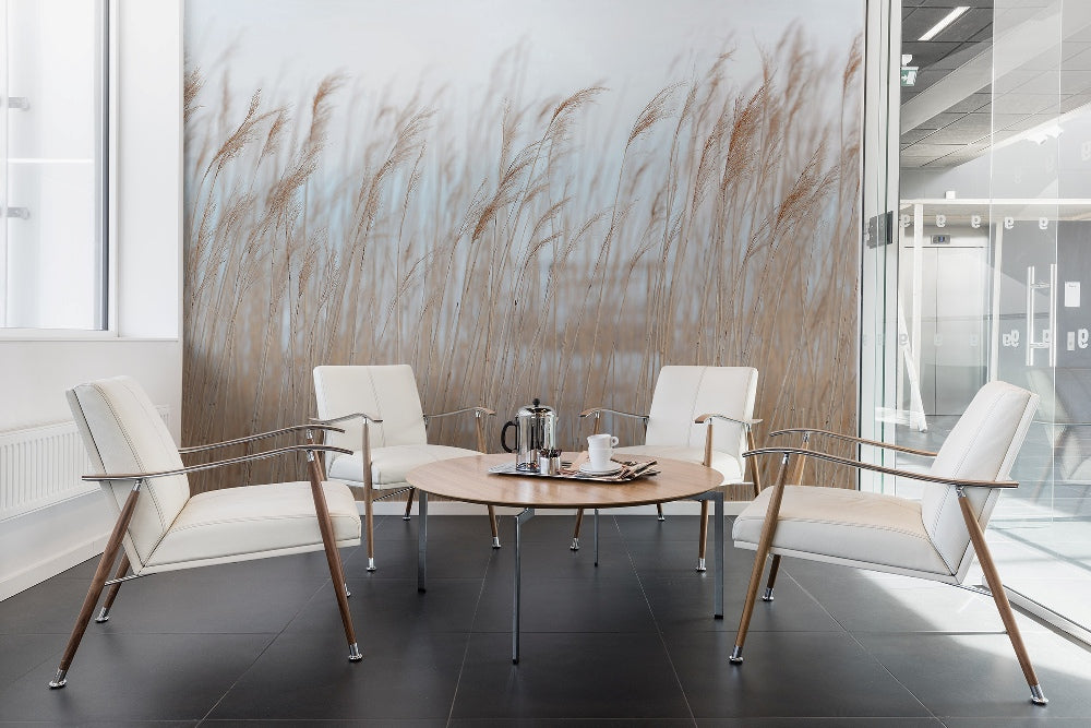 Swaying Reed Mural Wallpaper (SqM)