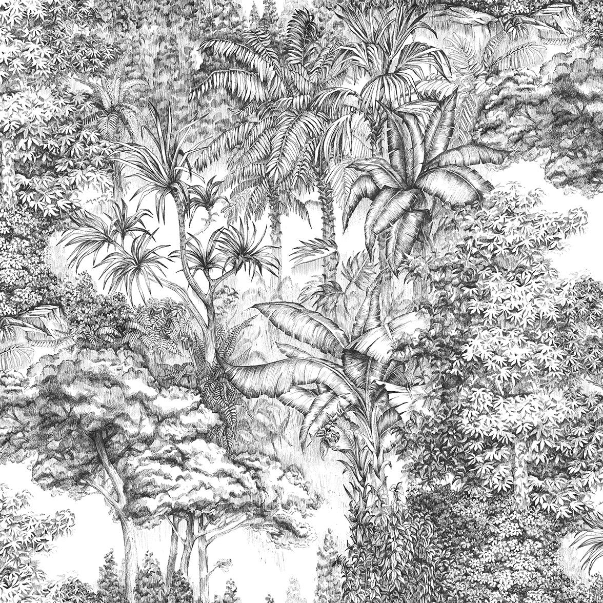 Tropical Jungle in Grey Mural Wallpaper (SqM)