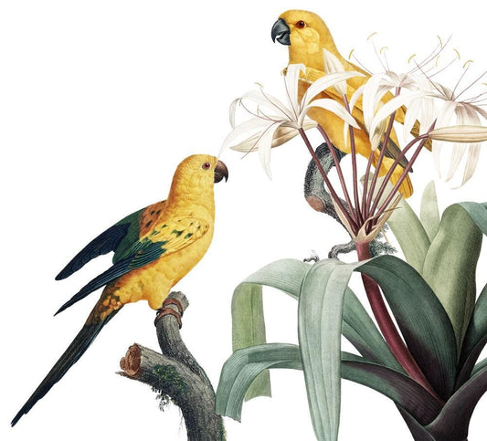 The Yellow Birdie Couple Mural Wallpaper (SqM)