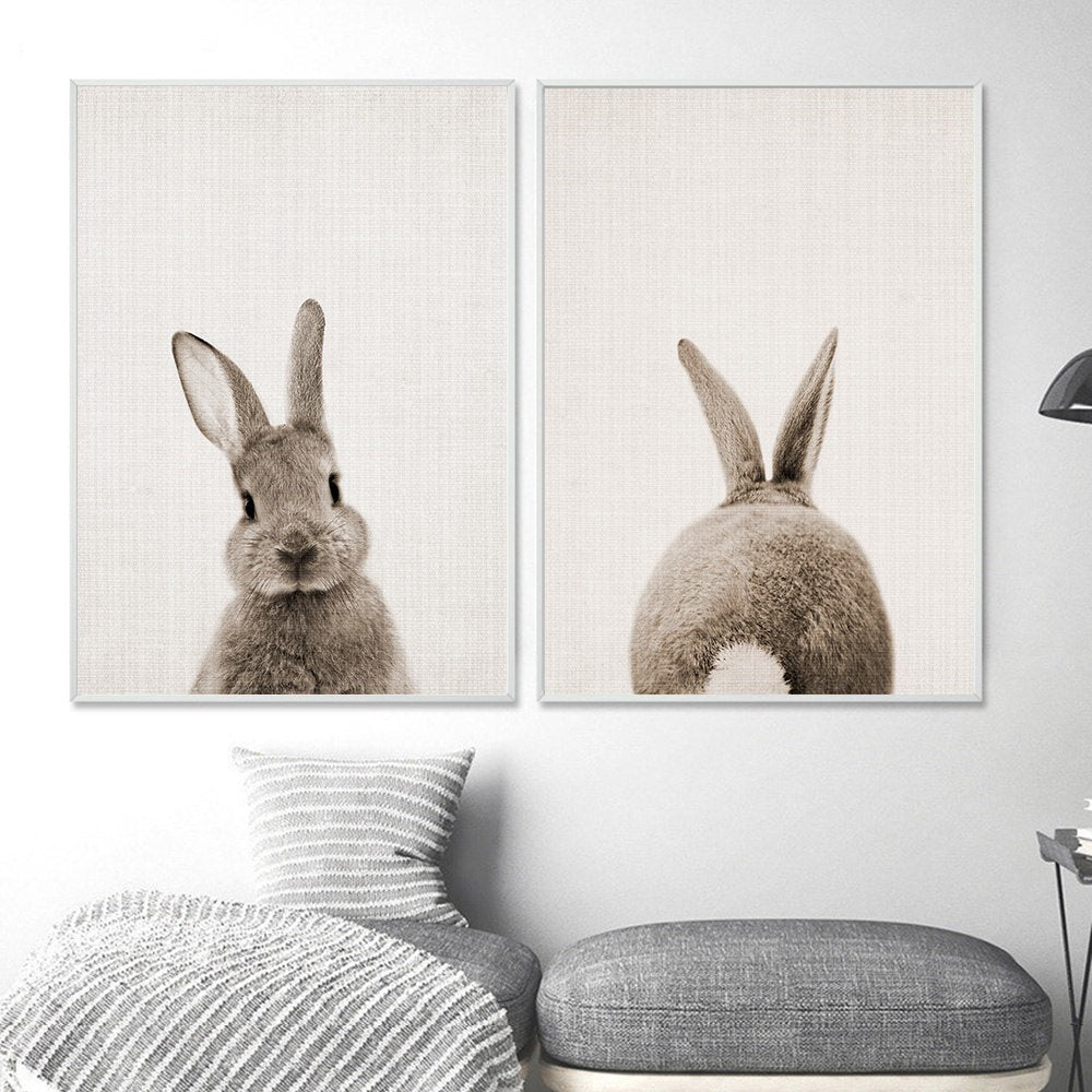 Rabbit Bunny Tail Canvas