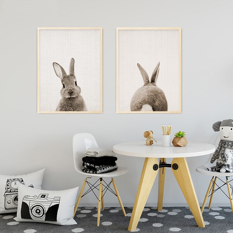 Rabbit Bunny Tail Canvas