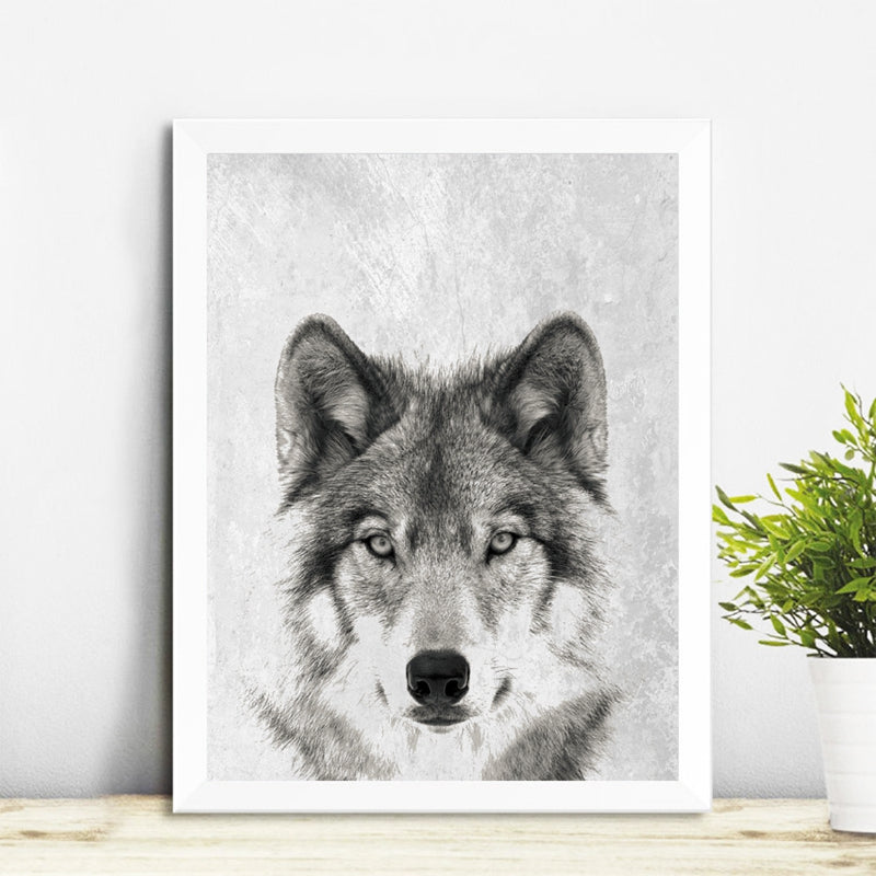 Wolf. B&W Photo