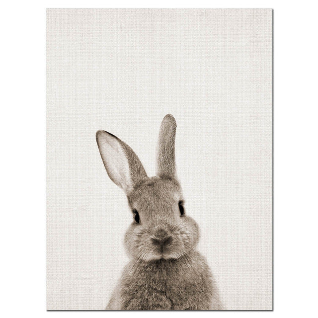 Rabbit Bunny Tail Canvas