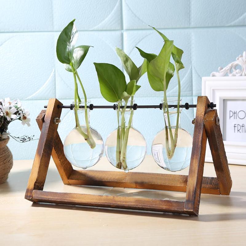 Hydroponic Glass Vase with Wooden Stand