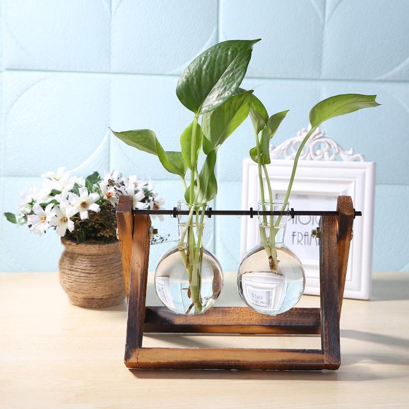 Hydroponic Glass Vase with Wooden Stand